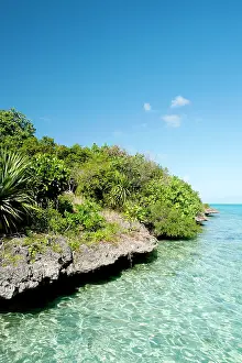Aigrettes: Ile aux Aigrettes island
