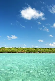 Aigrettes: Ile aux Aigrettes island