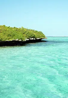 Aigrettes: Ile aux Aigrettes island