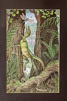 John Holmes: Illustration - Compsognathus attacking a Dragonfly. Jurassic