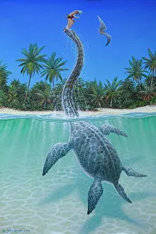 Pterosaur: Illustration - Elasmosaurus platyurus emerging