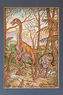 Tyrannosaur: Illustration - Gallimimus bullatus escapes a Tyrannosaur