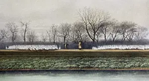 Taylors: Illustration - Goose herding. Mr John Taylor's