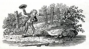 Thomas: Illustration - Goose sentinel, woodcut by Thomas
