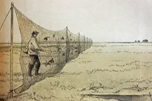 Mono: Illustration - Old style bird catchers, Bird netting