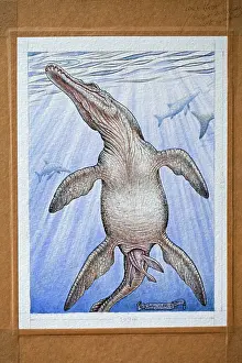 Viviparous: Illustration - Pliosaur's viviparous birth. Cretaceous