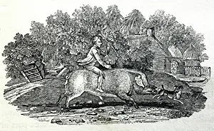 Thomas: Illustration - Riding a pig, woodcut by Thomas Bewick