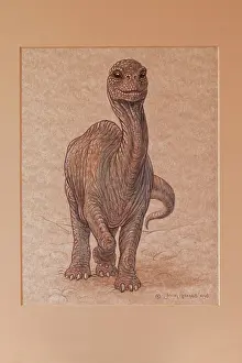 Sauropod: Illustration - Sauropod calf. Jurassic