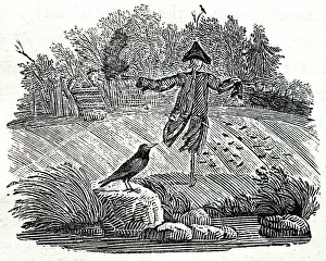Thomas: Illustration - Scarecrow, woodcut by Thomas Bewick