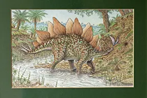 Stegosaurus: Illustration - Stegosaurus croosing a stream. Jurassic
