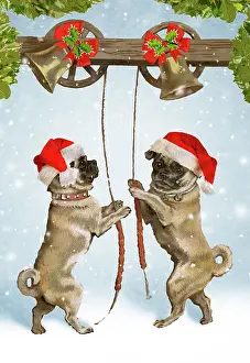 Ropes: An imaginative portrayal of pugs as bell ringing, bringing C
