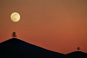 Moonlight: IMB