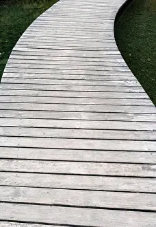 Timber: IMB