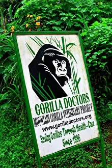 Bwindi: The impenetrable forest, world heritage site by