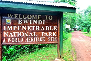 Bwindi: The impenetrable forest, world heritage site by