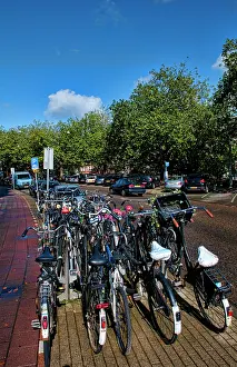 Bicycle: The importance of bicycles on a sunny day