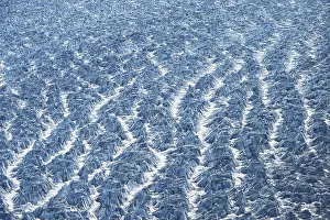 Crevasse: Inactive Crevasses