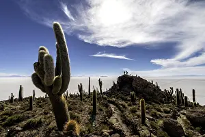 Incahuasi: Incawasi / Inca Wasi / Incahuasi / Cactus Island