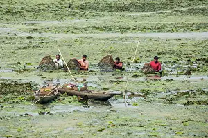 Tackle: India, Assam, Guwabati district, Deepor Beel Wildlife
