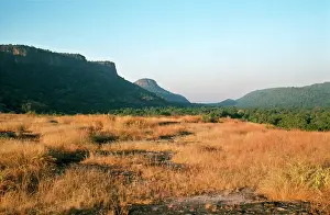 Madhya: India - Bandhavgarh National Park - Madhya Pradesh