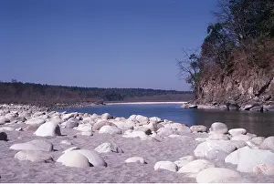 Ardea London: India - Corbett National Park, River Ramganga