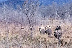Ardea London: INDIA - Corbett National Park, tourists on Indian