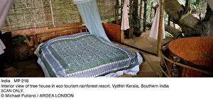 Sophie Gooders: INDIA - interior view of tree house in eco-tourism