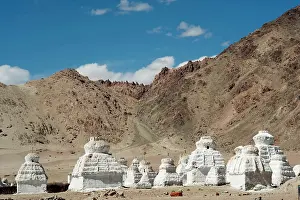 Jammu: India, Ladakh, Shey, white stupa forest