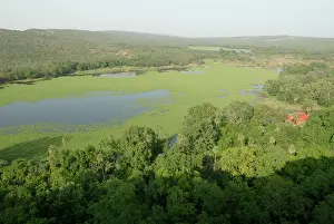 Monsoon: INDIA - Padam Talao, Aerial view of lakeside forest