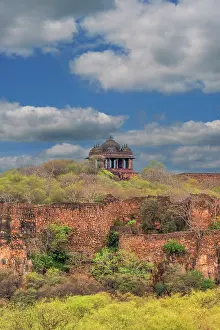 Formidable: India, Rajasthan. Ranthambore National Park. Fortress ruin