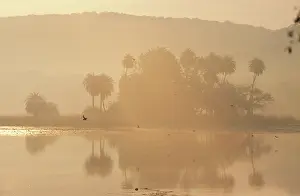 Rajbagh: INDIA - Rajbagh, Main lake in