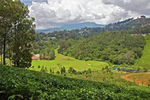 Tamil: India, Tamil Nadu, Nilgiri Mountains, UNESCO