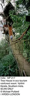 Sophie Gooders: INDIA - tree house in eco-tourism rainforest resort