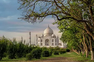 Distinctive: India, Uttar Pradesh, Agra. Taj Mahal, seen from an orchard