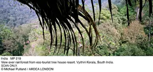 Sophie Gooders: INDIA - view over rainforest from eco-tourist treehouse