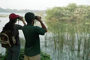 Binoculars: Indian birdwatchers watching Painted Storks nesting