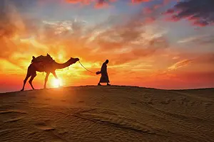 Local: Indian cameleer (camel driver) bedouin with camel