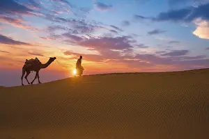 Typical: Indian cameleer camel driver bedouin with camel silhouettes in sand dunes of Thar desert on sunset