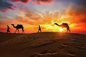 Nomadic: Indian cameleers (camel driver) bedouin with camel