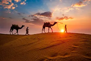 Nomadic: Indian cameleers (camel driver) bedouin with camel