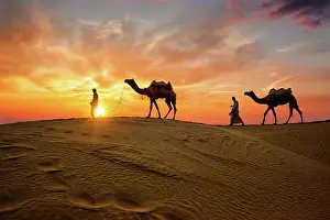 Local: Indian cameleers (camel driver) bedouin with camel