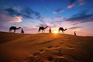 Tour: Indian cameleers (camel driver) bedouin with camel