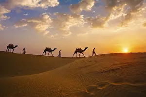 Typical: Indian cameleers camel drivers bedouin with camel silhouettes in sand dunes of Thar desert on sunset