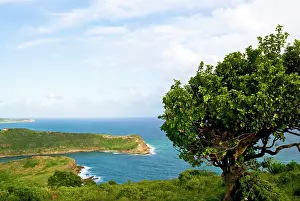Tondini: Indian Creek Point, Antigua, West Indies