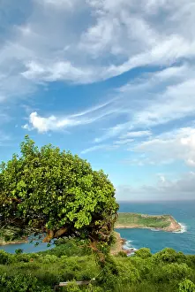 Tondini: Indian Creek Point, Antigua, West Indies
