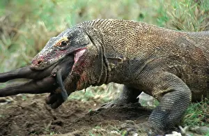 Largest: Indian Ocean, Indonesia, Komodo National