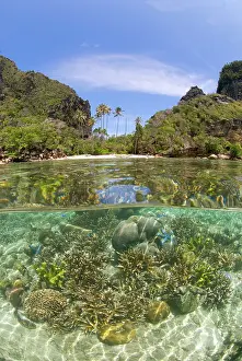 Split: Indian Ocean, Indonesia, Raja Ampat, Misool