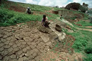 Faeces: Indian women drying cow dung for fuel