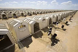 Cases: Individual calf cases in a dairy farming California USA
