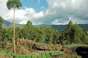 Batur: Indonesia, Bali Batur Lake, elevated view